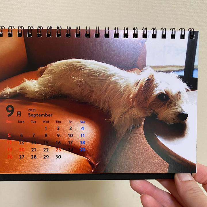 8b8d4f5c 0d08 4b24 8ee7 11d0d16c8192 1630448444999