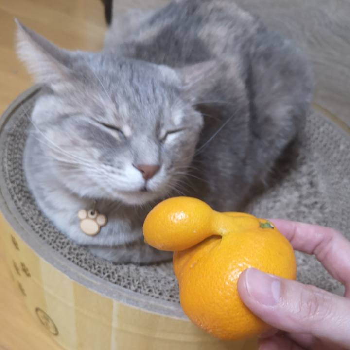 8b8d5294 a7a0 4dcd b2d7 a37792d0b3e9 1574257975806