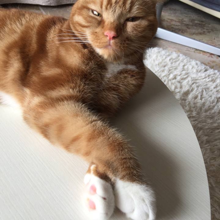 8b8d6774 37d5 4f4a a311 dfd4778aabf0 1529807946647