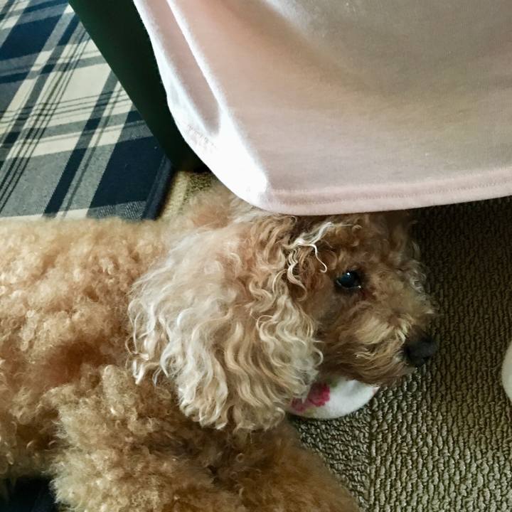 8b8d693a 39fc 4720 9295 8ffe9524653d 1530361729175