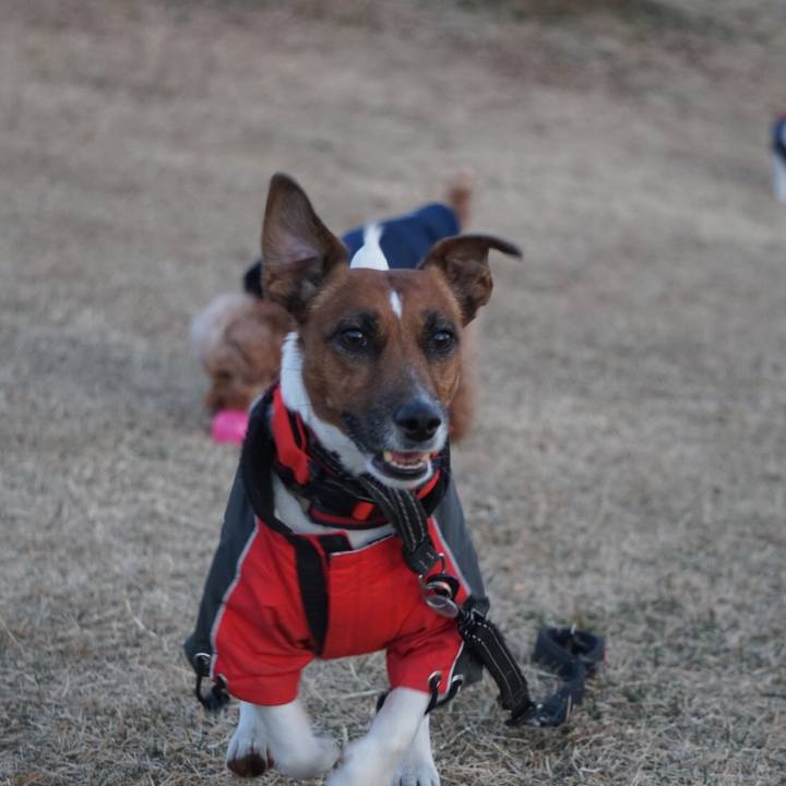 8b8da452 34aa 48c0 9973 0ea65f77d79c 1515283585469