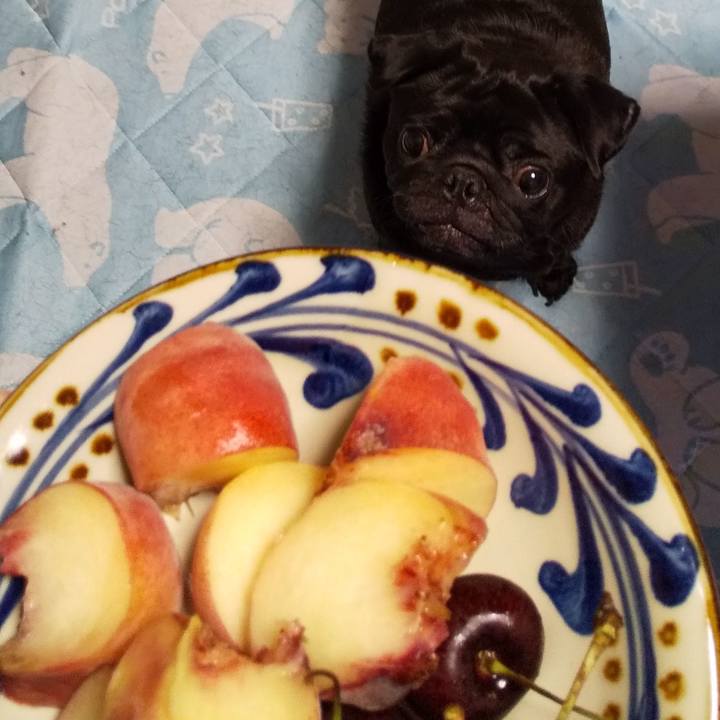 8b8e1fca 8ff3 4691 9cf2 72a5356e36d4 1598100121452