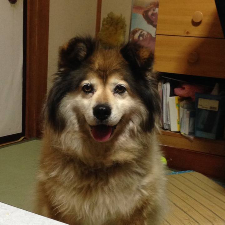 8b8e2be8 0d2f 45b1 b075 796a26e075ab 1576734350239