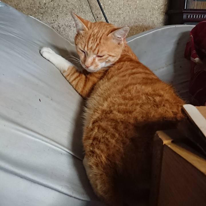 8b8e4f39 53a9 42c2 97cf dad880334f06 1563169044213