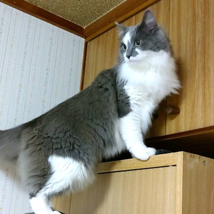 8b8ebd1d a528 4e52 bdb7 d5fdf99e5870 1592395238727