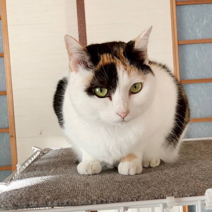 8b8ec6f2 7427 4dd5 9662 9b745cf4b73a 1551408193211