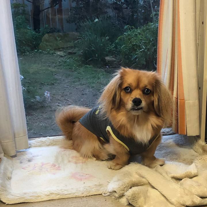 8b8ed950 a34b 4a21 8d96 4ebe183ece19 1543961186837