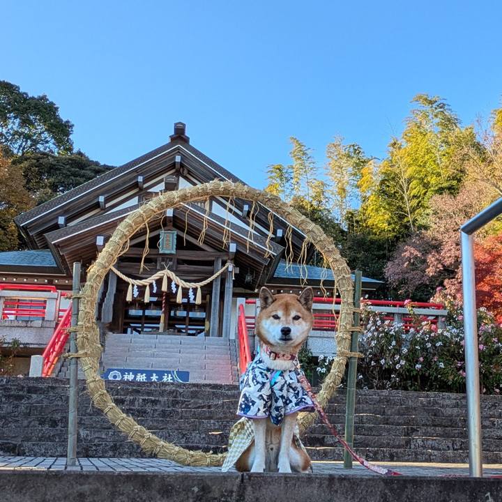 8b8ee877 b391 4870 8661 bd0768441618 1734620140184