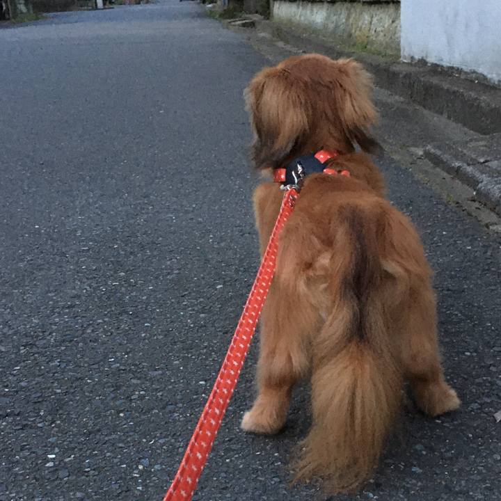 8b8ef62d 6cd6 4209 99ba 62d7e621bebc 1595246155856