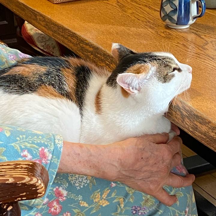 8b8f16e9 9487 400a b969 0babf5782041 1768436592928