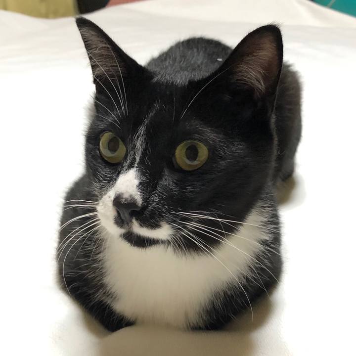 8b8f355a 2da7 46e2 9739 899be86a4038 1568000238340