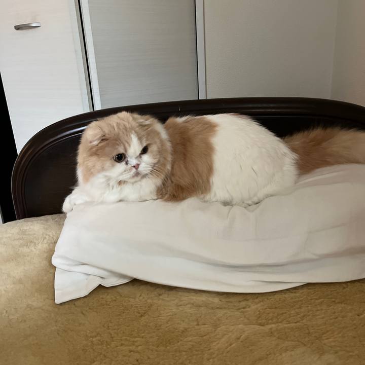 8b8f4bd0 a8d4 4351 a23e a290c16e349f 1746488418330