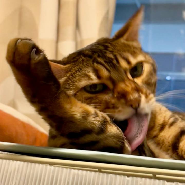 8b8f6c49 5244 4542 939b 766f5058c9bc 1660792451446