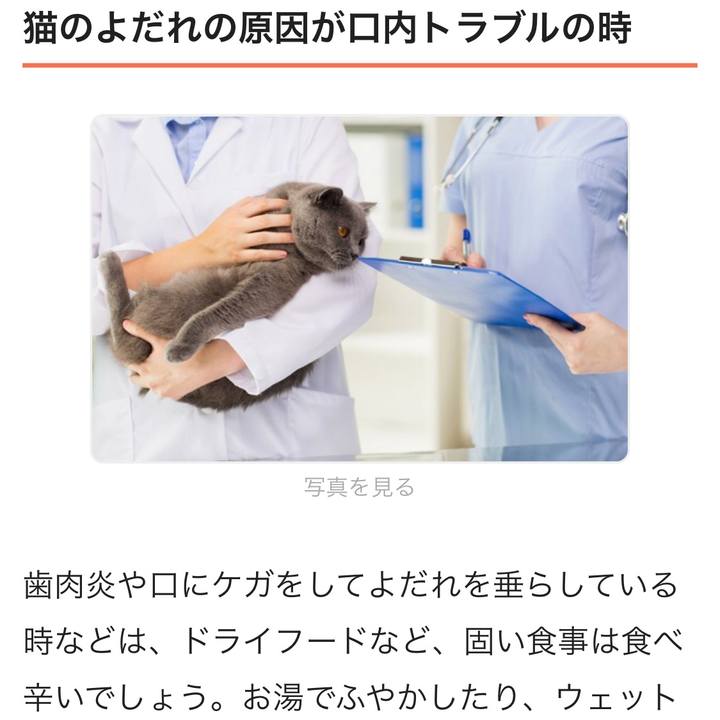 8b8f743c 6e42 4a8d 92a3 7da923a5b5b6 1531892552058