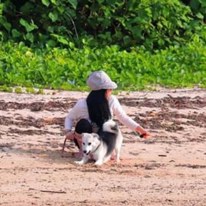 8b8f96a6 9b96 45b5 9e53 8197ec82eb7b 1552624242223