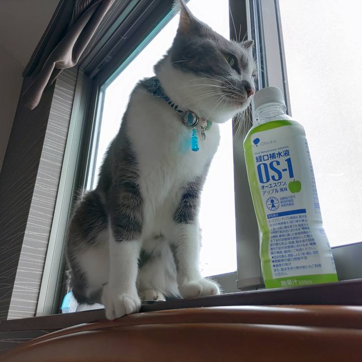 8b8fb2ae 6b55 4930 94a0 3c944c9095e7 1673661030068