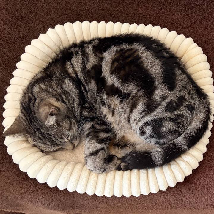 8b8fcd17 58b5 47db 8201 f72814e6f456 1771213785583