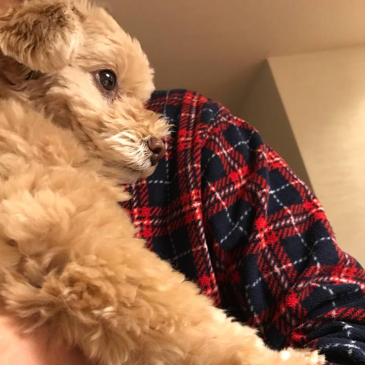 8b90110f dc75 4742 aa1b dd10f7ba12e2 1547559080266