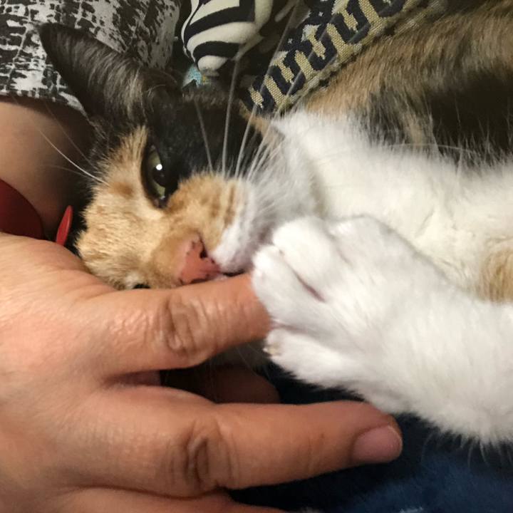 8b9015ab ca92 43ba b74f ab36cfdcaf47 1558615665434