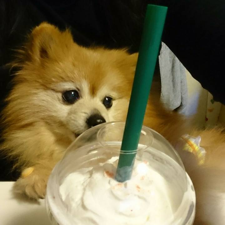 8b902109 0658 4aa3 9846 5d094664433a 1555324845367