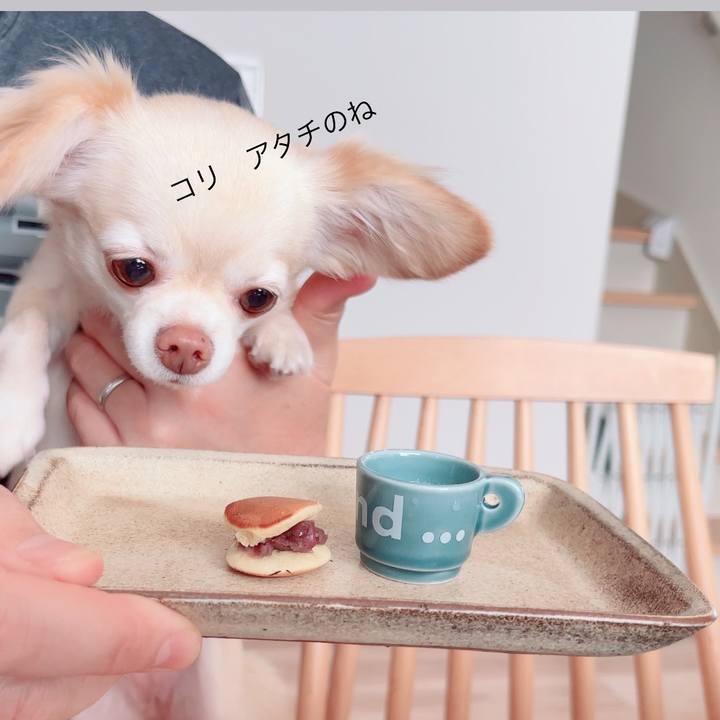 8b902342 f8b8 4ad1 aa90 a7123d0db3e8 1760349405312