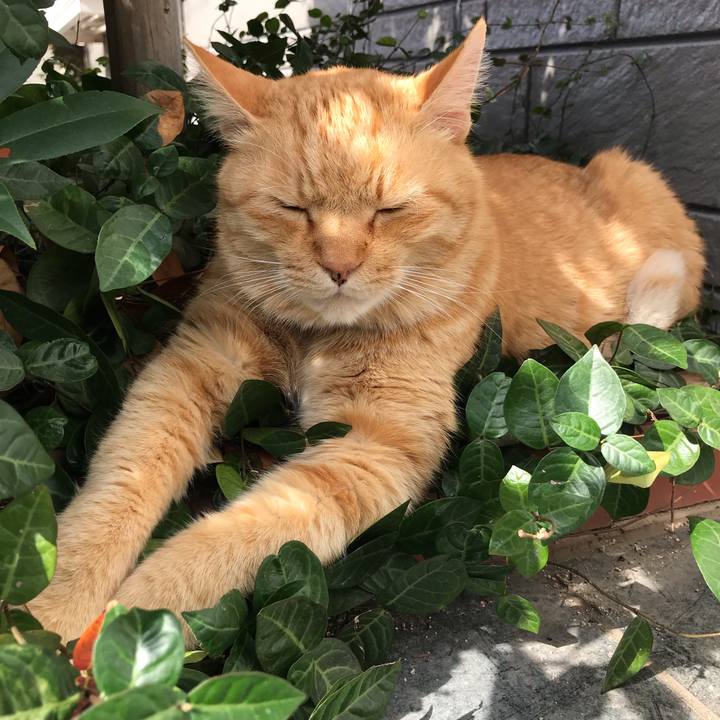 8b907b12 bf41 4b1f 9434 40dd783482e0 1550797762534