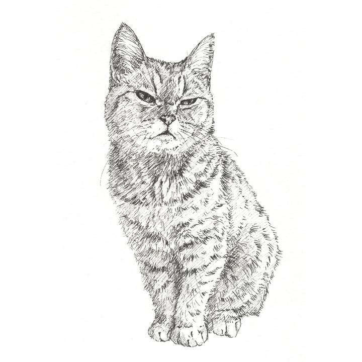 8b907c0b 8fce 4137 ab29 b0ad330f4914 1561727103507