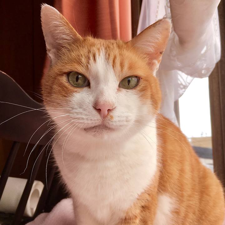 8b9096a1 bb0b 4fb4 828f c86bced6a9fe 1576223790272