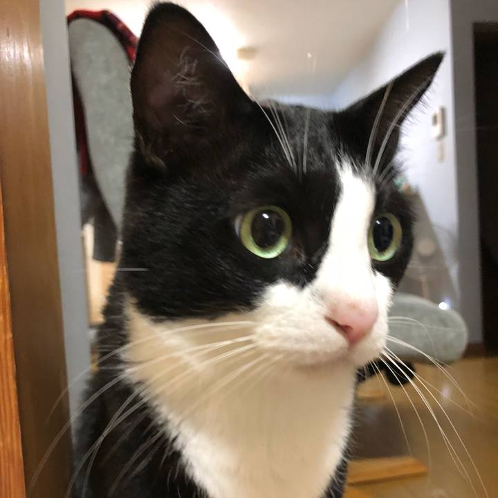 8b90cf4c 0cb0 4763 ad89 a8fa8f3e0c00 1530708331980