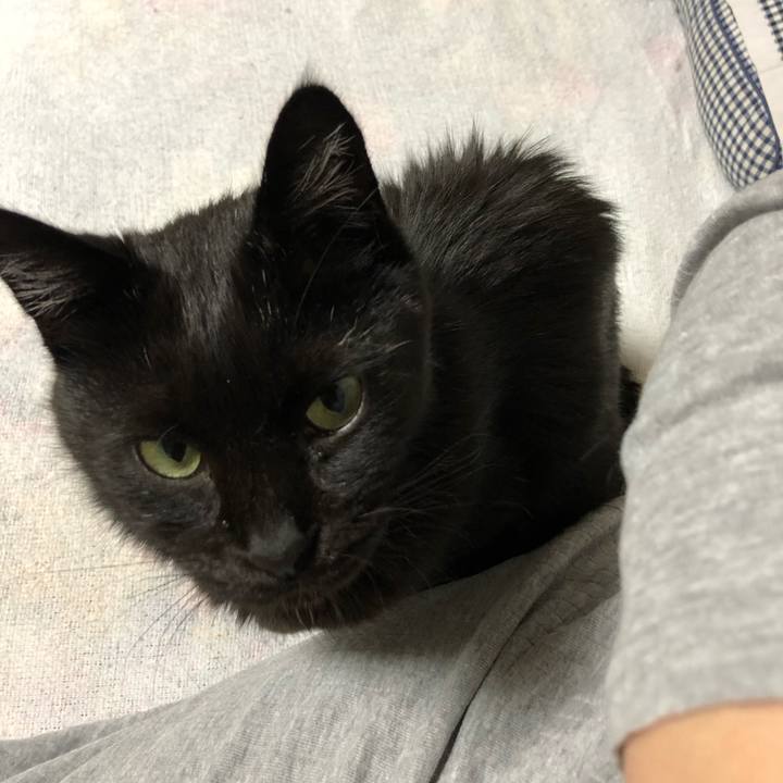 8b90e9c0 f249 4eb0 b3a0 3b7e14495705 1603104492239