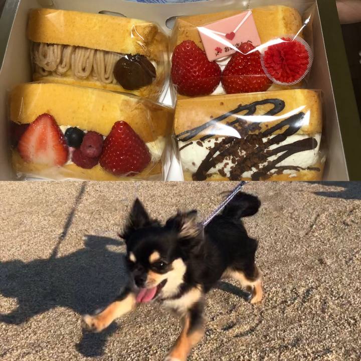 8b9112fc 76cb 4163 8706 4d050facae45 1557645942842