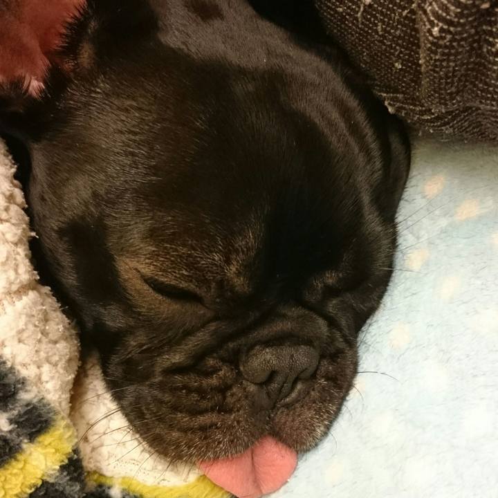 8b91441a 137e 46ec 984b 420e15f510c6 1515594160988