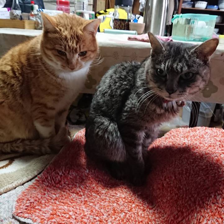 8b917360 ba6d 4a1d bfd2 ebef3530bc74 1581041226389