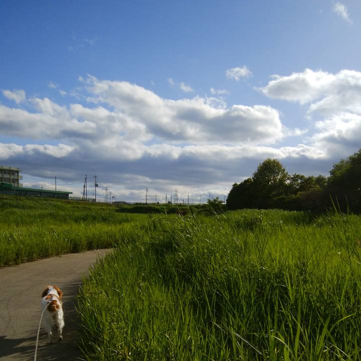 8b9185e9 9d1f 4ebb 905a 1ee6adc360df 1526730974101