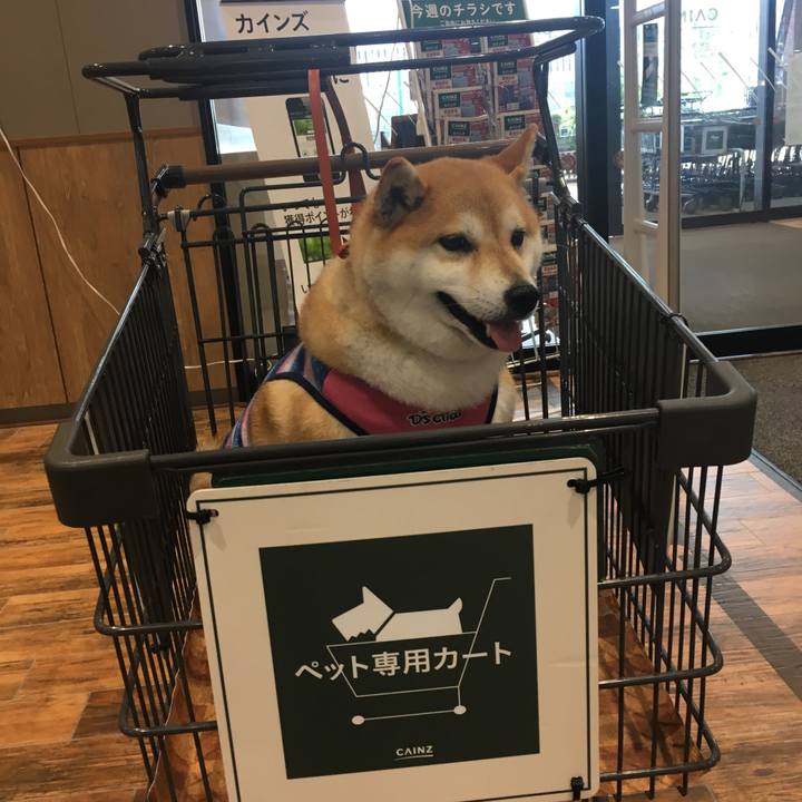 8b91bd60 d3f0 44ee bdc6 36b0d12d2e91 1566196541467