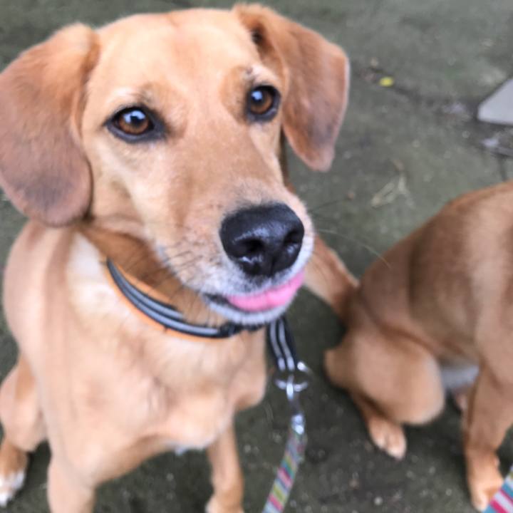 8b91c7d1 a90c 45c9 bb64 cdbebd9919cb 1529130287202