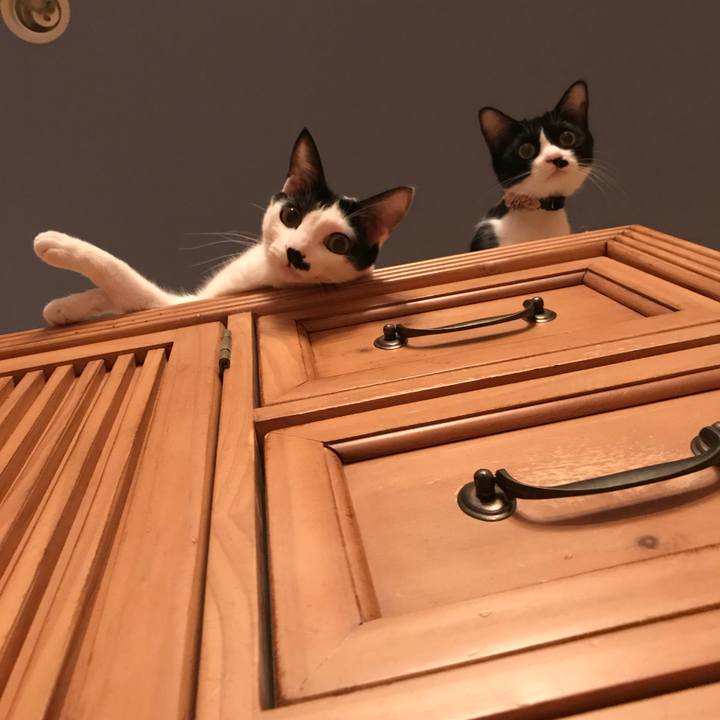 8b91fd35 00be 47af a1d6 adc30e06c974 1524721844835