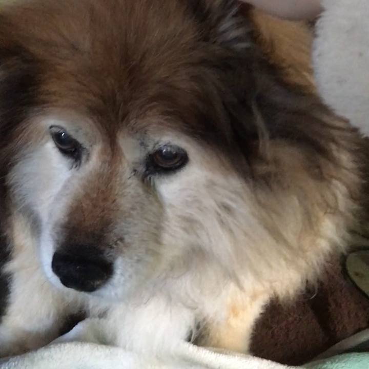 8b920871 7141 4190 8d31 900536347f97 1601254671493