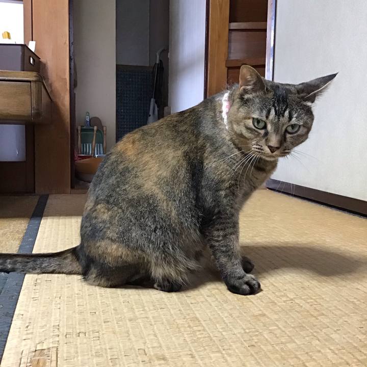 8b922a1b c8b9 470e 9538 6512be292ca0 1722854557629