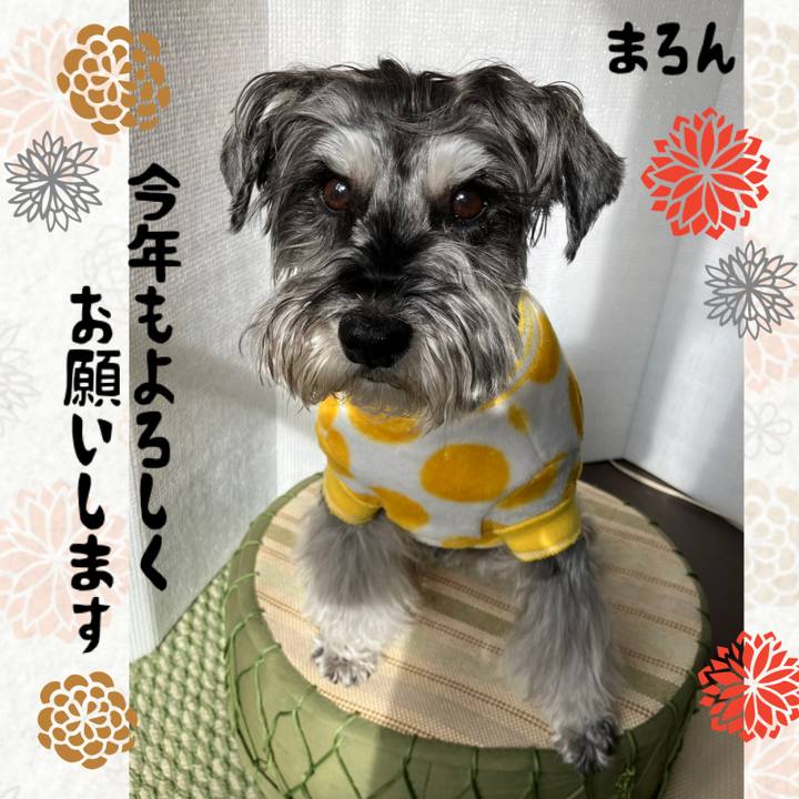 8b923827 411e 4a85 a0cf b8951f818fd5 1767239217352