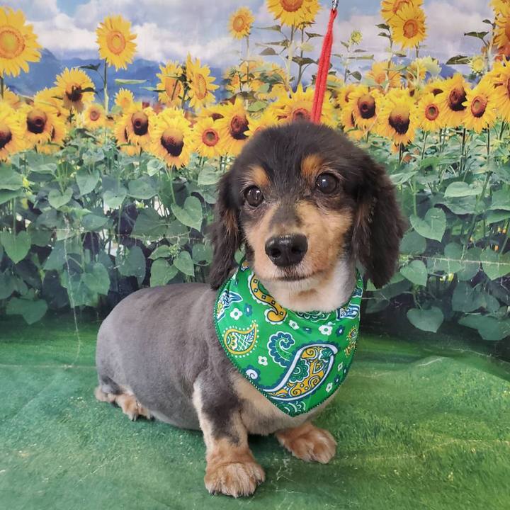 8b923ac0 0c94 4284 bd5c c49bb78b1bd1 1624751494523