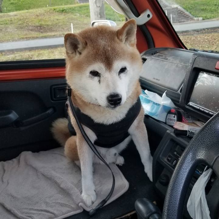 8b924826 70c1 4a32 aaf4 01fd010e4a5c 1731306874883