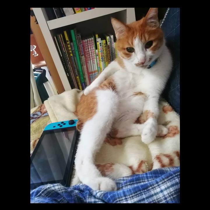 8b9266e1 c53b 4042 9512 2587fac2b945 1620096249837