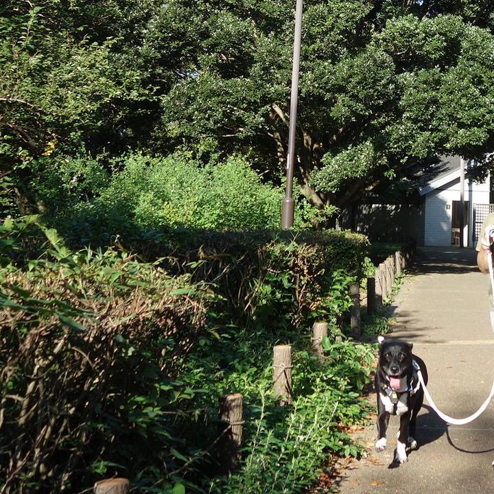 8b9275cf c6a9 4598 a6dd d618d6263fe0 1663285681435