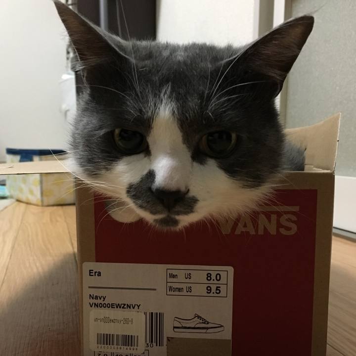 8b928710 3822 44fd 8403 ebc3fe91731c 1532131008870