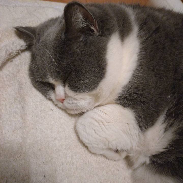 8b92a6d2 31b2 4fce ad96 34b5444139a3 1771079021192