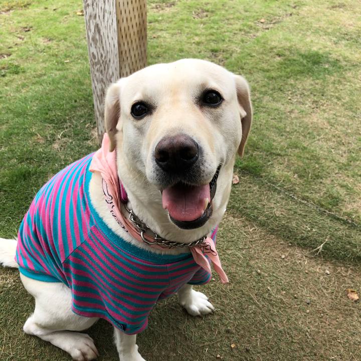 8b92b222 cf63 4062 a8b9 d8a26df53c38 1571659318137