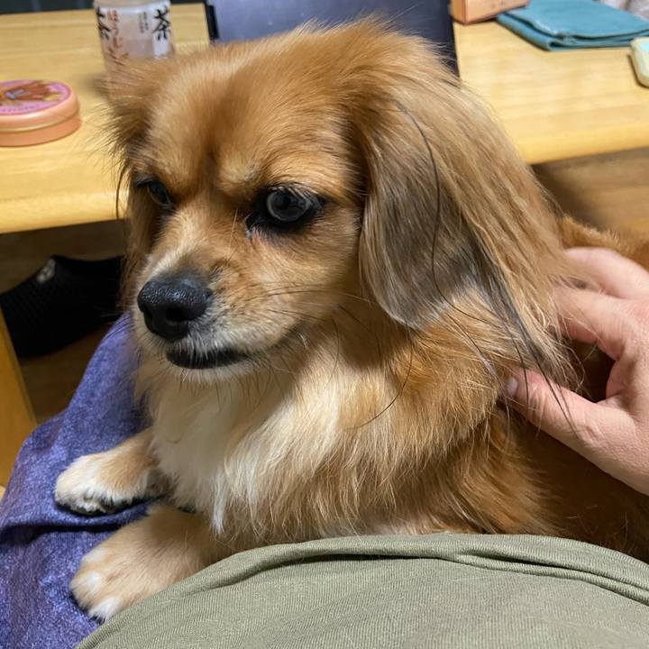 8b92b73d 8451 4589 a64f b79dd13ab51e 1601214123167