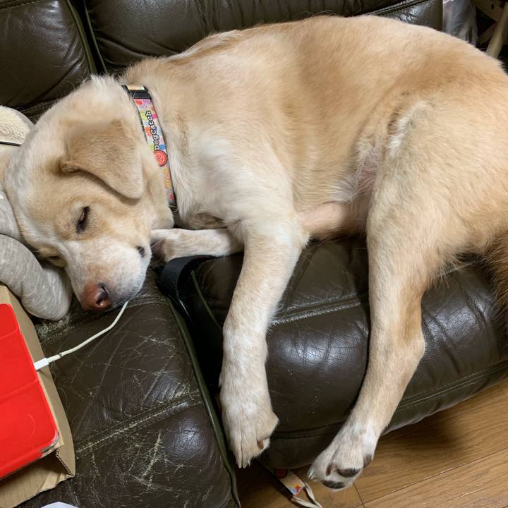 8b92bb8e 4c85 48c3 b4cf f2f7d1906acb 1553095611658