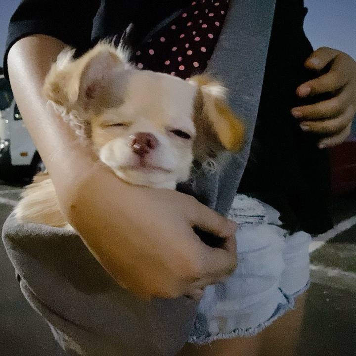 8b92d708 dce0 471d 9073 6257ae0f9c66 1596764552318